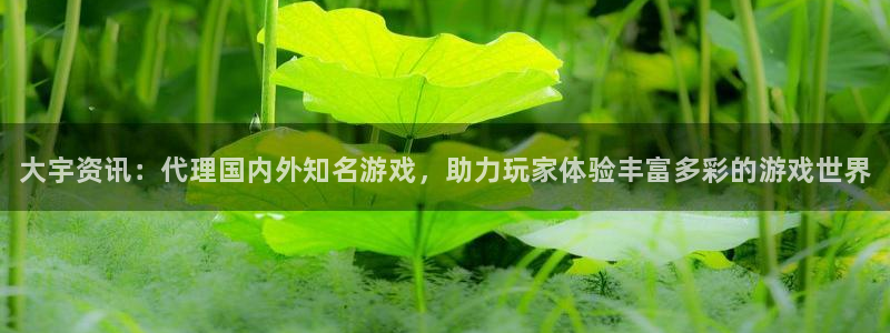 鼎点娱乐平台官网客服电话：大宇资讯：代理国内外知名游戏，助力