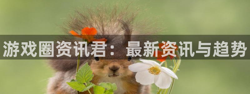 鼎点娱乐的意思：游戏圈资讯君：最新资讯与趋势
