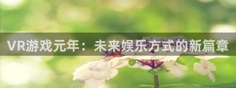 鼎点娱乐平台：VR游戏元年：未来娱乐方式的新篇章