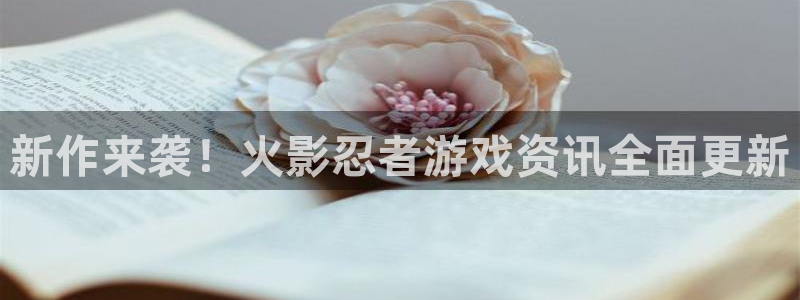鼎点娱乐升级5994月：新作来袭！火影忍者游戏资讯全面更新
